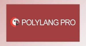 Polylang Pro – Multilingual Plugin