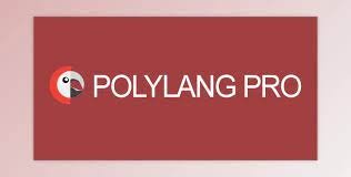 Polylang Pro – Multilingual Plugin